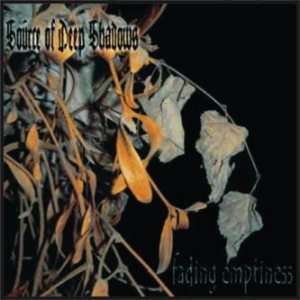 Source of Deep Shadows - Fading Emptiness