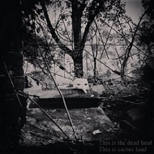 Capa - This Is the Dead Land This Is Cactus Land