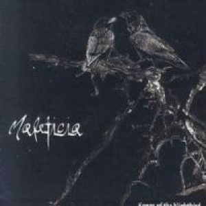 Maleficia - Songs of the Nightbird