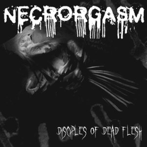 Necrorgasm - Disciples of Dead Flesh
