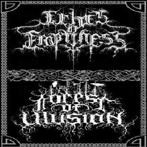 Echoes of Emptiness / Forest of Illusion - Echoes of Emptiness & Forest of Illusions