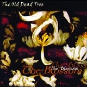 The Old Dead Tree - The Blossom