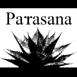 PARASANA - Smells of Cigarette