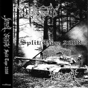 Terdor - Split tape 2008