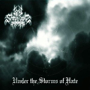 Lost in the Shadows - Under the Storms of Hate