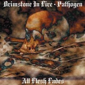 Brimstone in Fire - All Flesh Fades