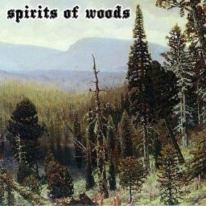 Old Man of the Desert - Spirits of Woods