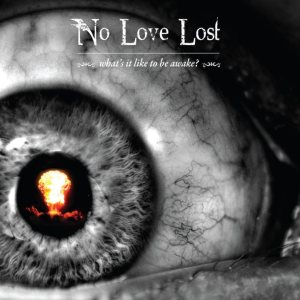 No Love Lost - What's It Like to Be Awake?