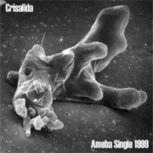 Crisálida - Ameba