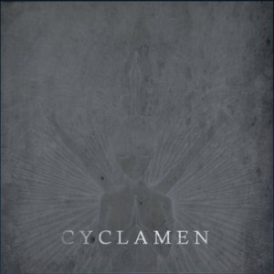 Cyclamen - Senjyu