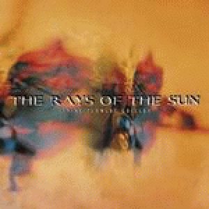 The Rays of the Sun - Living Flowers Gallery