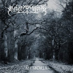 Nicronomodez - Memoria