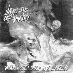 Last Days of Humanity - Defleshed by Flies / Untitled