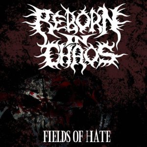 Reborn In Chaos - Fields of Hate
