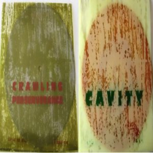 Cavity - Crawling / Perseverance