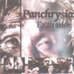 Panchrysia - Exaltation