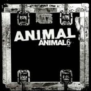 A.N.I.M.A.L - Animal 6