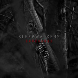 Endeavors - Sleepwalkers