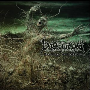 Dissolution - Natural Selection
