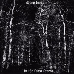 Deep Forest - In the Frost Forest