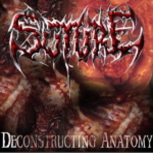 Suture - Deconstructing Anatomy