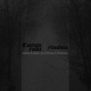 Twilight Fauna / Filsufatia - Fallen Leaves in a Tide of Sorrow