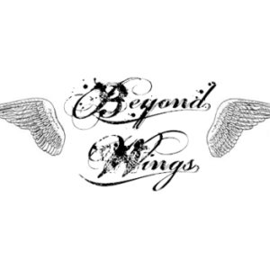 SATD - Beyond Wings