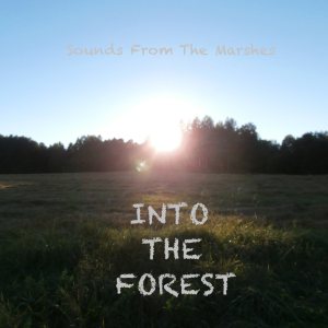 Sounds From The Marshes - Into the Forest EP