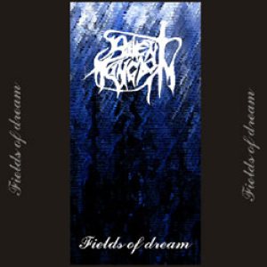 Silent Kingdom - Fields of Dream