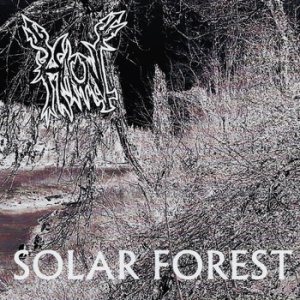 Haunt - Solar Forest