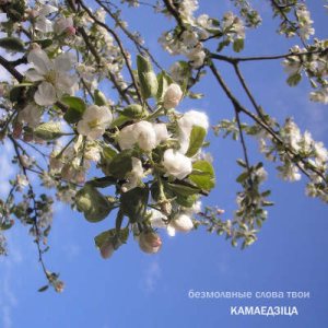Kamaedzitca - Безмолвные Слова Твои