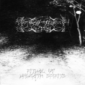 Darkness Enshrouded The Mist - Ritual of Undeath Spirits