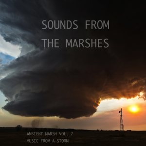 Sounds From The Marshes - Ambient Marsh Vol. 2
