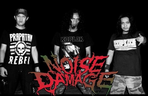 Noise Damage