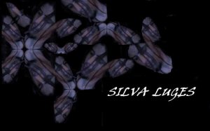 Silva Luges