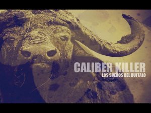 Caliber Killer