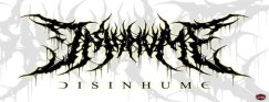 Disinhume logo
