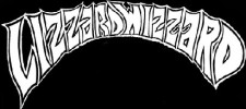 Lizzard Wizzard logo
