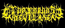 Torturous Endevilment logo