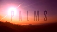 Palms logo