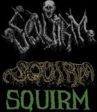 Squirm logo