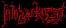 Into Darkness logo