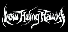 Low Flying Hawks logo