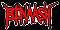 Binaash logo