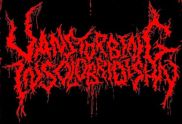 Vanstorbing Insolobridishn logo