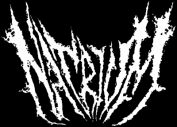 Natrium logo