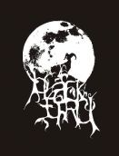 Blackthru logo