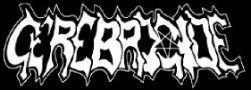 Cerebrocide logo