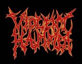 Violent Hammer logo