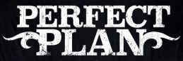 Perfect Plan logo